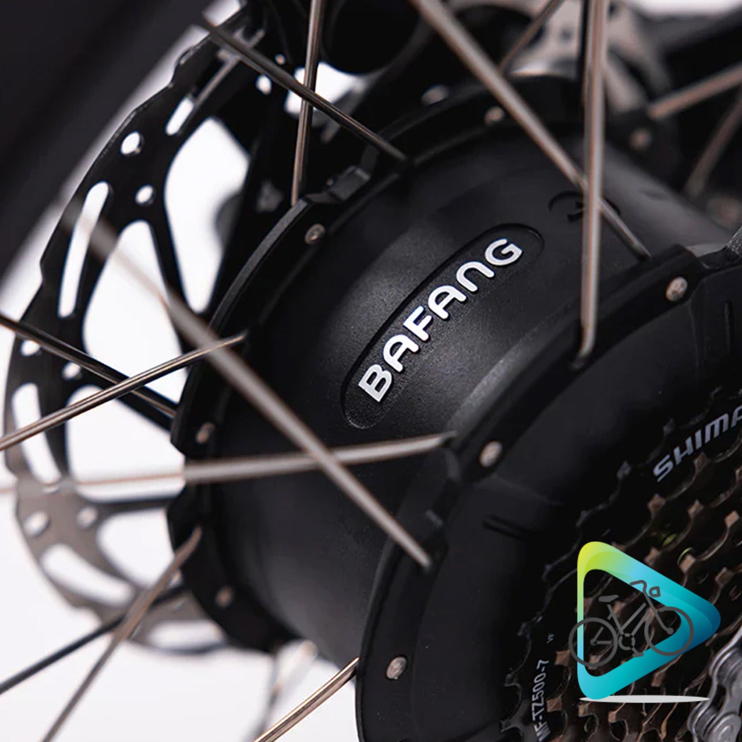 FatBoy Harlem Ebike
