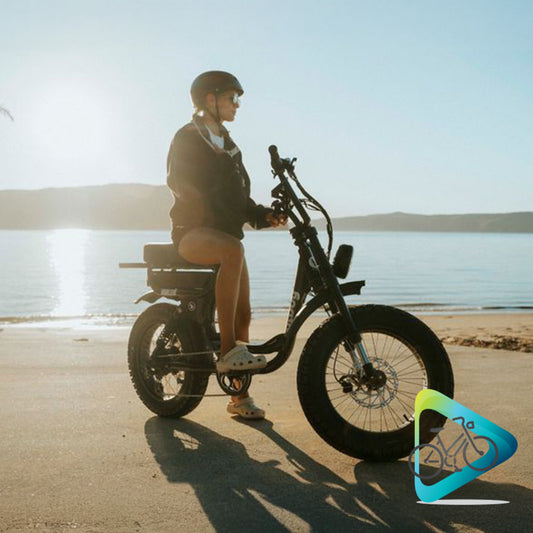 FatBoy Harlem Ebike