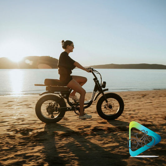 FatBoy Harlem Ebike