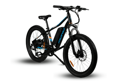 Kid Juno Ebike